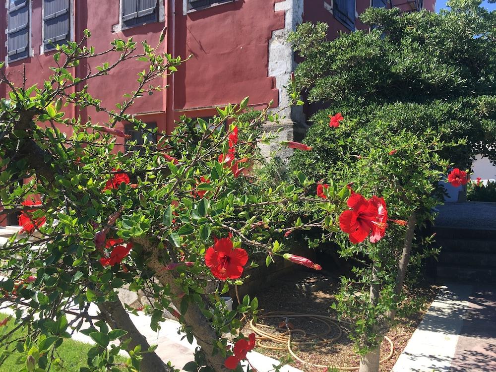 Oasis Guesthouse Chania  Exterior photo